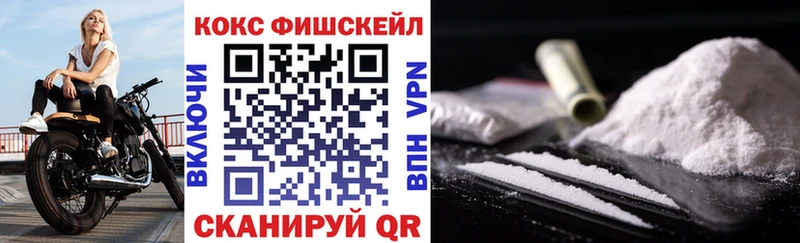 omg ТОР  Грязовец  КОКАИН Эквадор 
