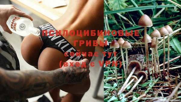 метадон Алзамай
